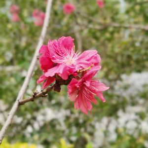 你好，晴天 伴奏