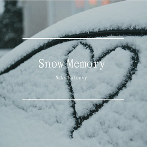 Snow Memory