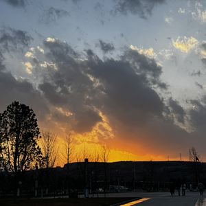 欢、经济舱、夏天的风串烧