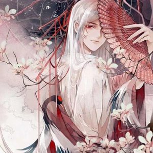 1/2如梦