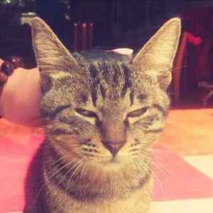 望郷（翻自 内池秀和）