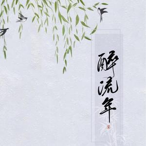 醉流年