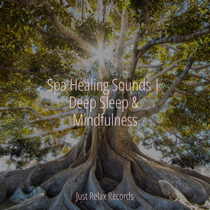 Whispers of a Dreamless Slumber