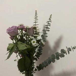 星星还是那么亮