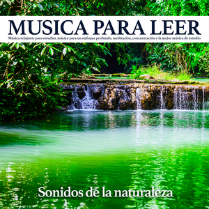 Musica para leer