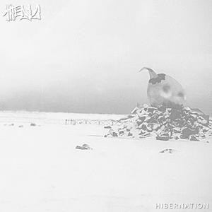 Hornstrandir