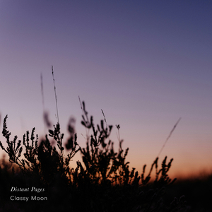 Hidden Glow in Quiet Days