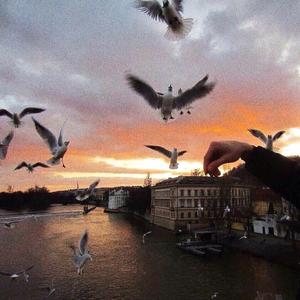 过程不重要 重要的是结果