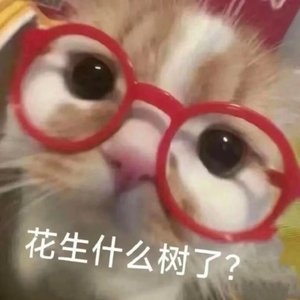 我的悲伤是水做的