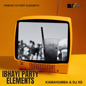 Dwesi Vibes (Original Mix)