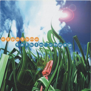 白日 (ALBUM VERSION)