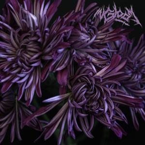 Vapid Existence (feat. Jeremy Torres)