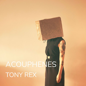 Acouphènes