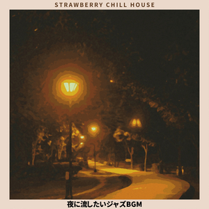 The Mirage of the Night