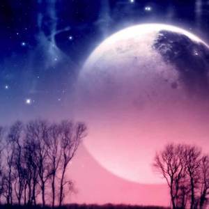 天天都是如此的想念着