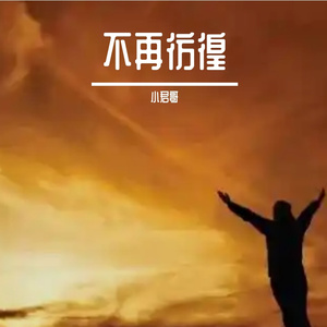 不再彷徨