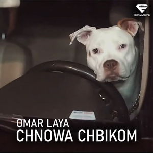 Chnowa Chbikom