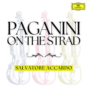 Violin Concerto No. 4 in D Minor, MS. 60:III. Rondo galante. Andantino gaio