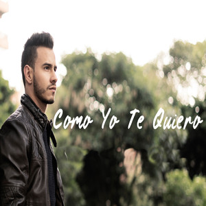 Como Yo Te Quiero