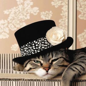 P.U.N.K. Girl (Sped Up)