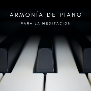 Momentos Contigo