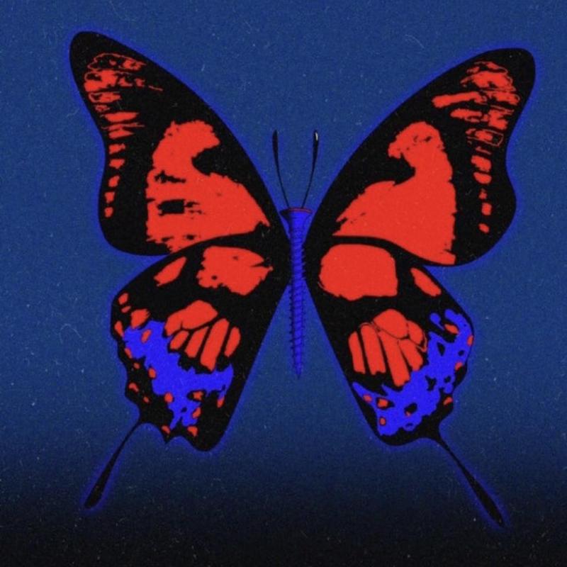 BUTTERFLIESREMIX封面