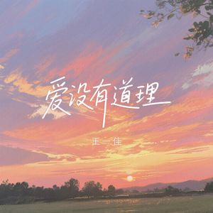 爱没有道理