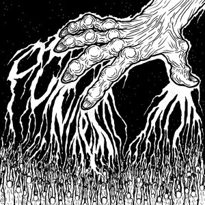 Into the Traveller's Halls
