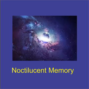 Vanishing Chronotides