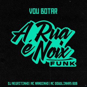 Vou Botar (feat. DJ Negritinho, MC Nandinho & Mc Douglinhas BDB)