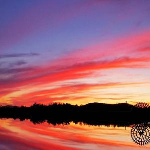 IQ博士（cover儿童合唱团）