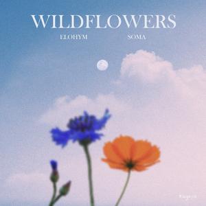 WILDFLOWERS (feat. Elohym)