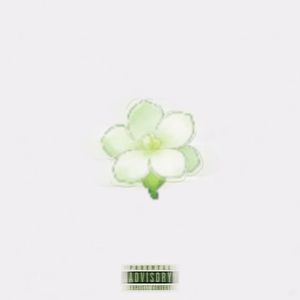 再见茉莉 (prod.by Morrow x FAS)