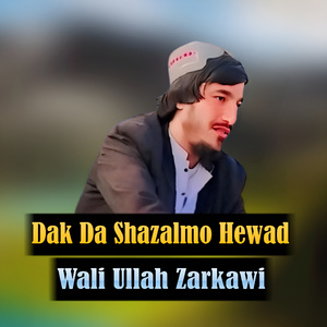 Hewad Ki Sham Lawar Khalak Jwandi Wi