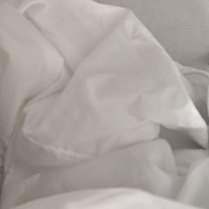 小-胡-同1747882865033