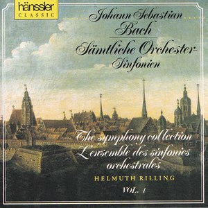 Wir müssen durch viel Trübsal in das Reich Gottes eingehen, BWV 146:No. 1, Sinfonia