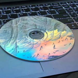 荒屿（ 韩剧OST《当你沉睡时》中文版）