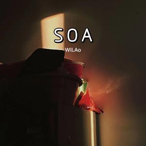 SOA