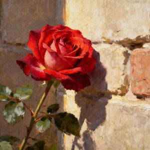 配菜（Prod by venkey）