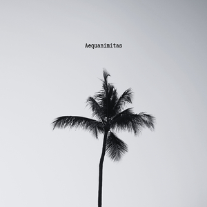 Aequanimitas