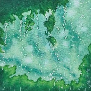 二十九号的雨