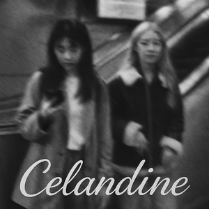 초보운전(비보호)