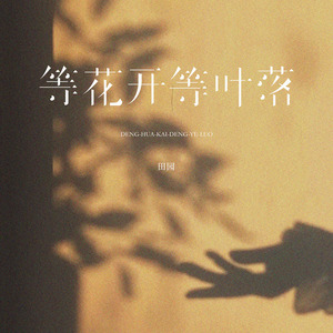 等花开等叶落