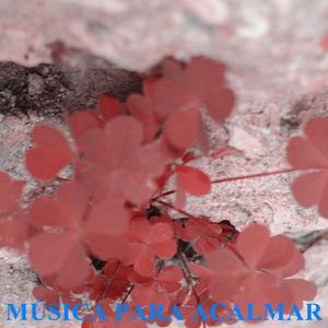 Música Para Acalmar