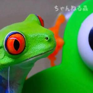 しんみり 隣人に挨拶する (feat. Chichilcitlalli)