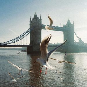 Free Memphis type beat【she's a ten however...】