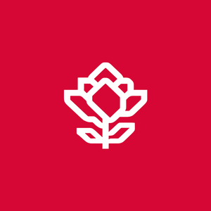 彼得潘 Peter Pan(lowed)