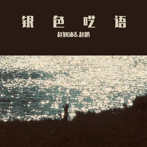 银色呓语