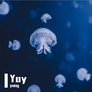 Yoy