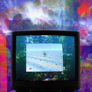 DDC (Dreams to Dreams Connection)